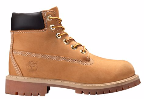 Timberland Youth 6-Inch PREMIUM Waterproof Boots