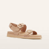 Frankie4 THOMPSON Camel