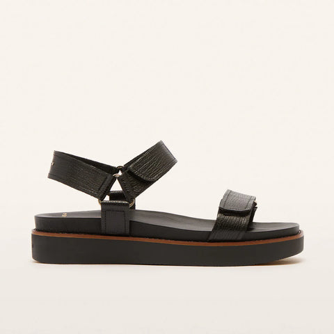 Frankie4 ZANE Black Grain