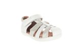Surefit ALICE White