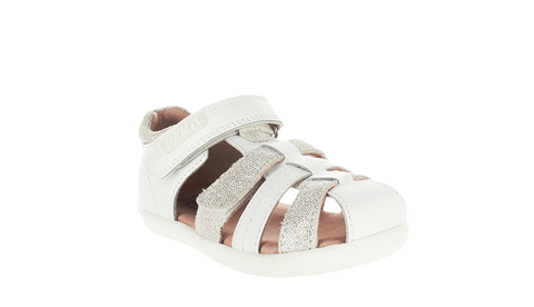 Surefit ALICE White