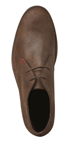 Windsor Smith HARVARD Brown oil Sesto Shoex